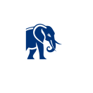 Changcoin foundation